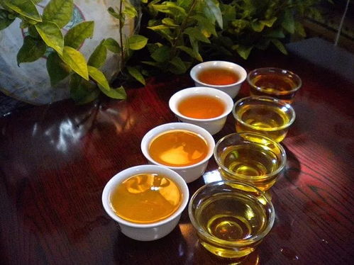 陜西推廣地域特色產(chǎn)業(yè) 86個地標產(chǎn)品成脫貧富民 金招牌